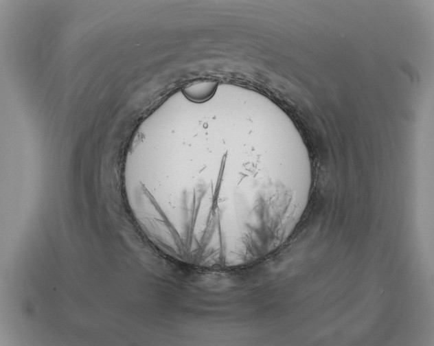 X0000113891489200910151323