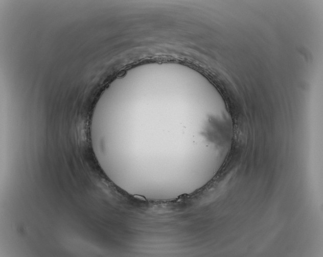 X0000113891490200910151323