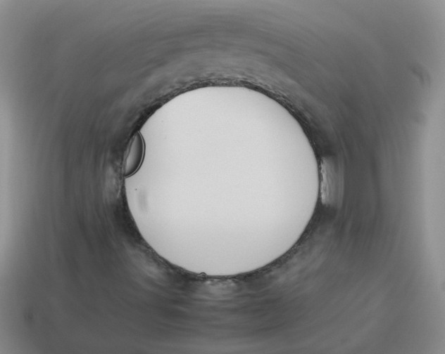 X0000113891491200910151323