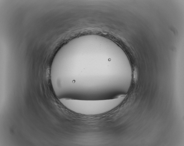 X0000113891492200910151323