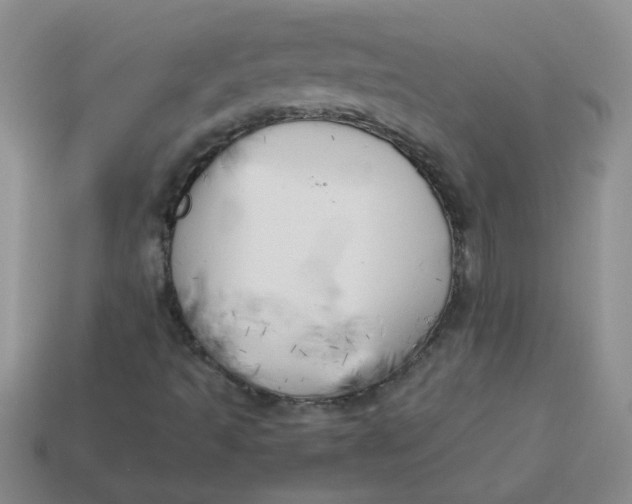 X0000113891493200910151323