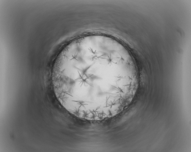 X0000113891494200910151323