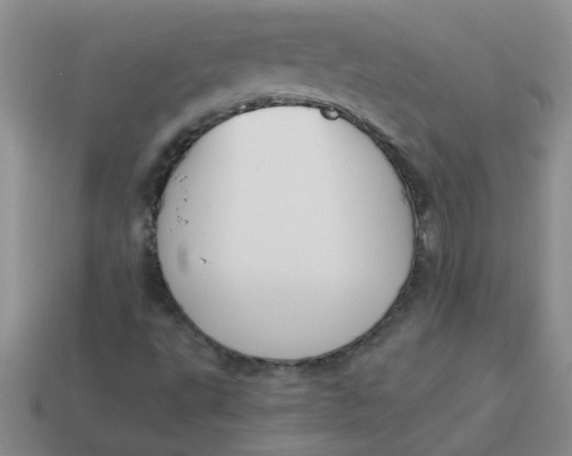 X0000113891495200910151323