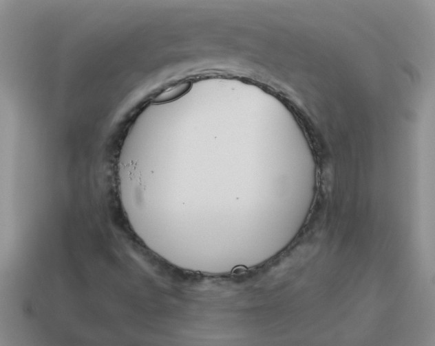 X0000113891496200910151323