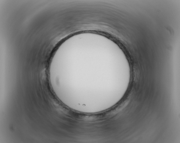 X0000113891497200910151323