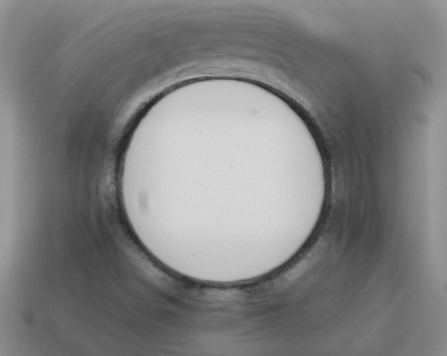 X0000113891498200910151323