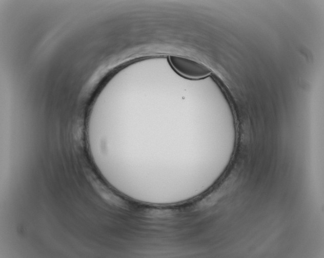 X0000113891499200910151323