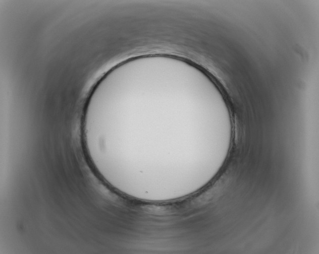 X0000113891500200910151323