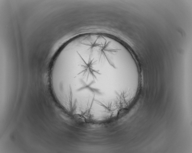 X0000113891501200910151323