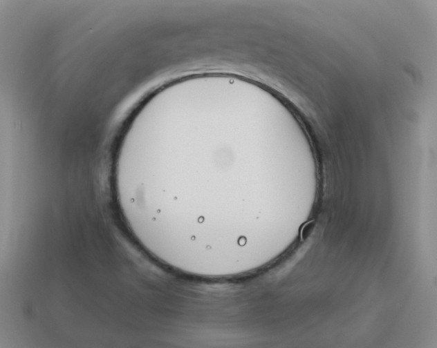 X0000113891502200910151323