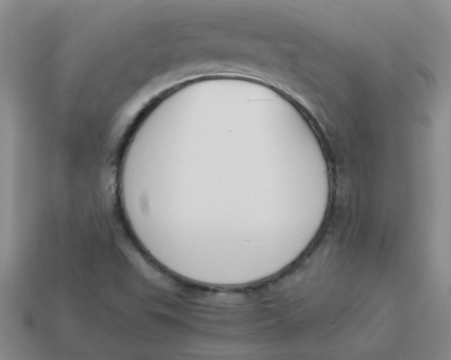 X0000113891503200910151323