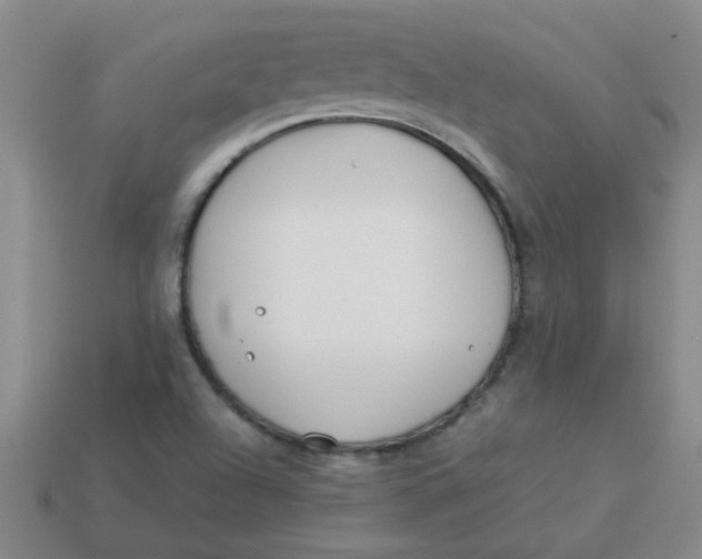 X0000113891504200910151323