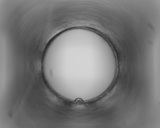 X0000113891505200910151323