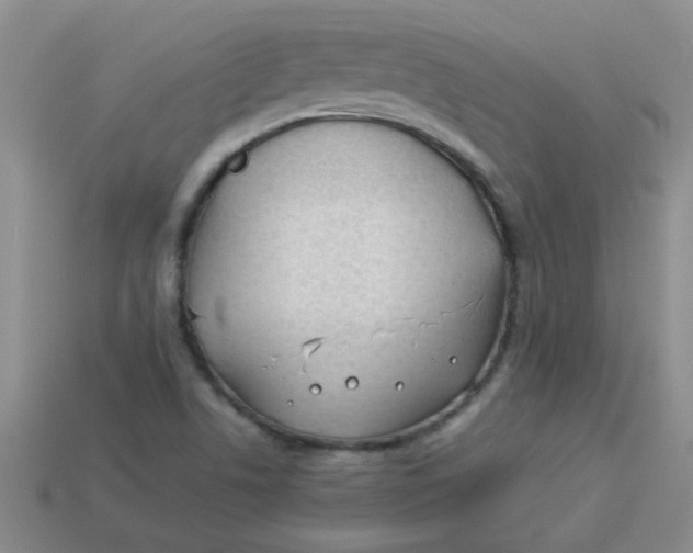 X0000113891506200910151323