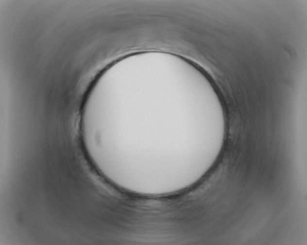 X0000113891507200910151323