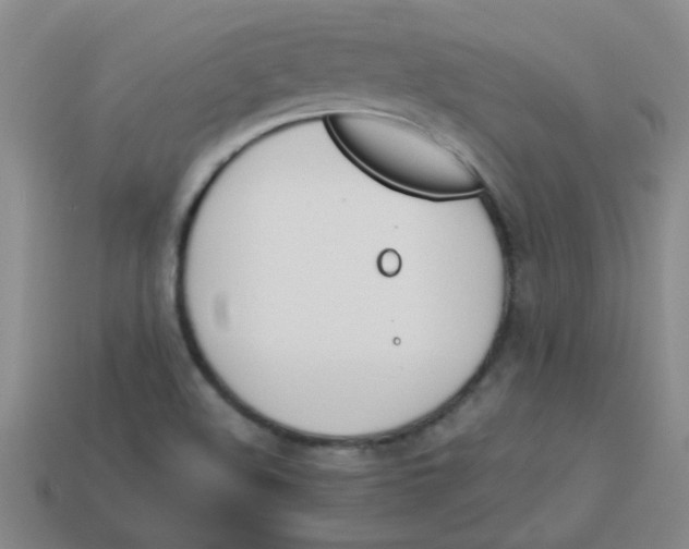 X0000113891508200910151323