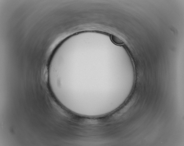 X0000113891509200910151323