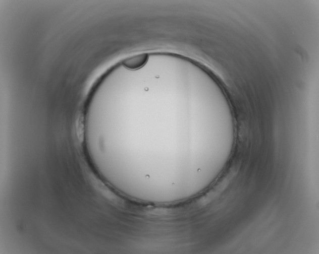 X0000113891510200910151323