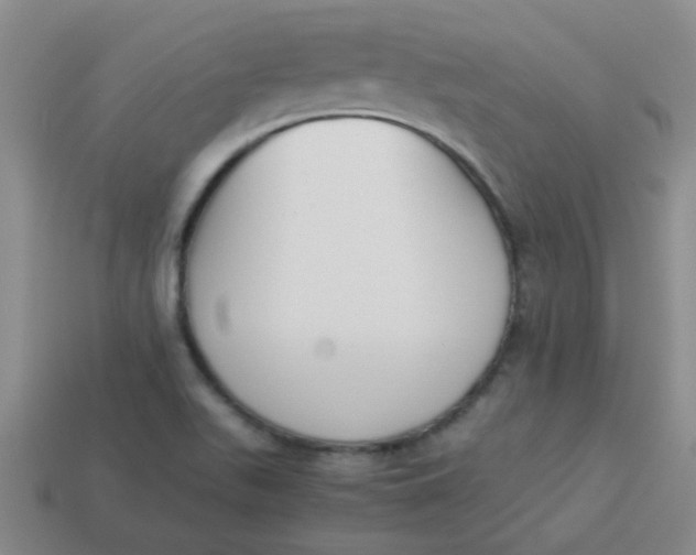 X0000113891511200910151323