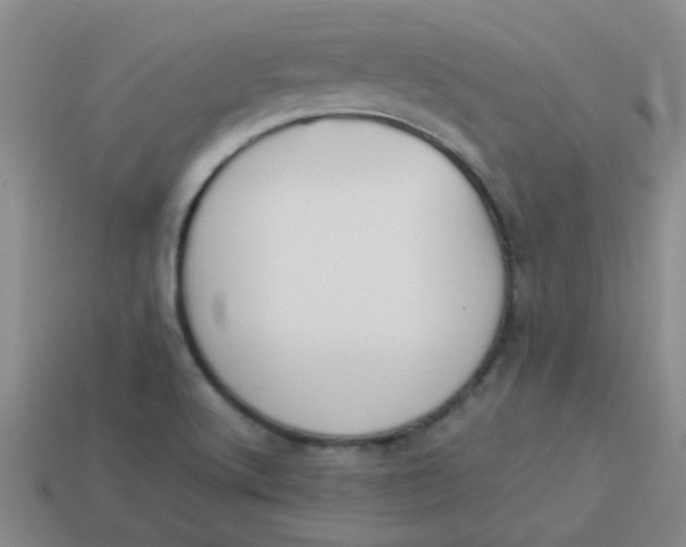 X0000113891512200910151323