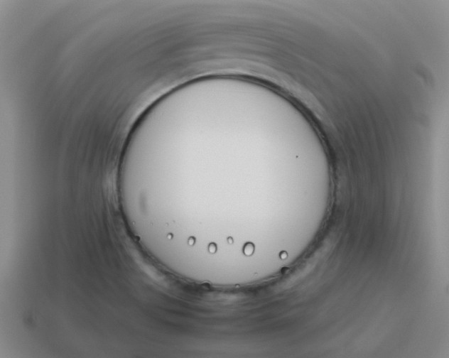 X0000113891513200910151323