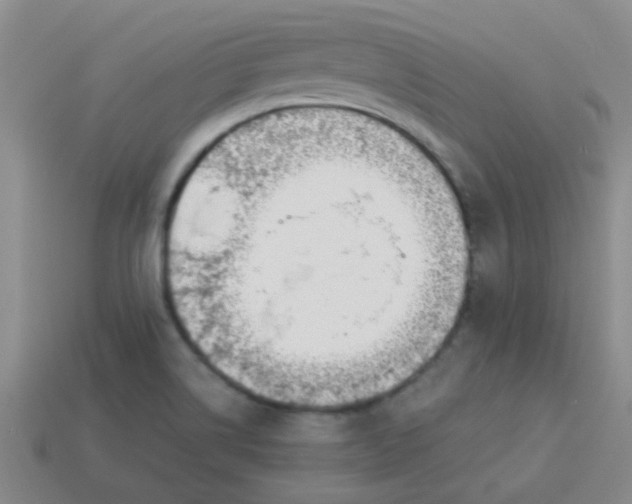 X0000113891514200910151323