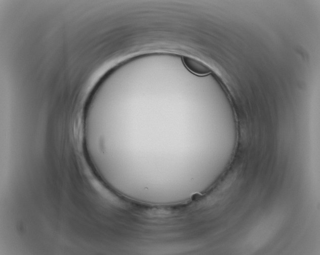 X0000113891515200910151323