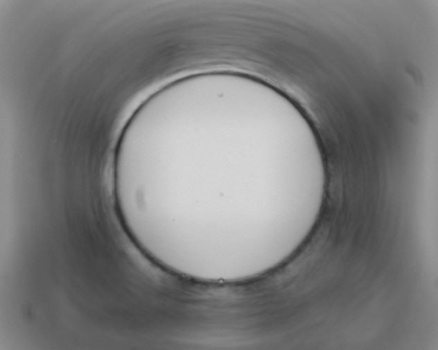 X0000113891516200910151323