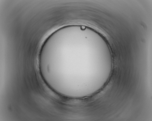 X0000113891517200910151323