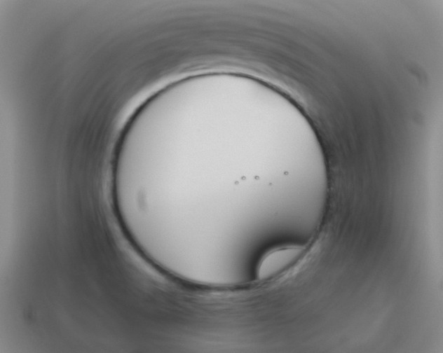 X0000113891518200910151323