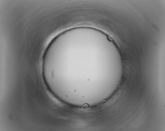 X0000113891519200910151323