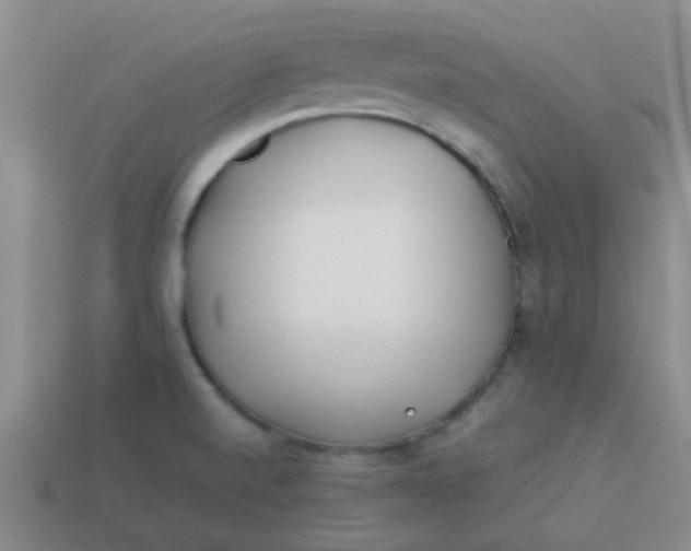 X0000113891520200910151323