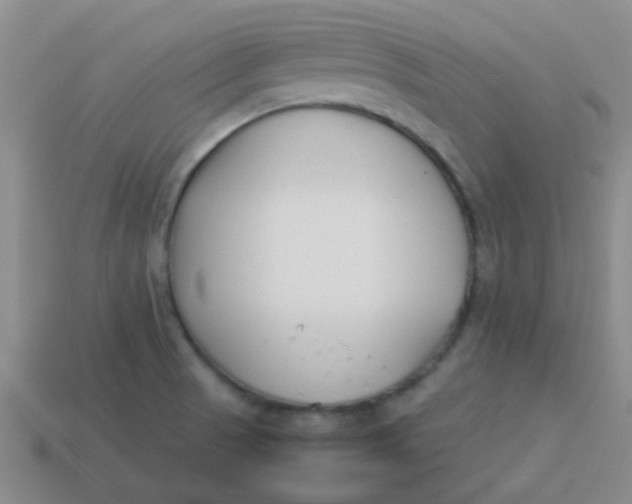 X0000113891521200910151323