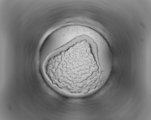 X0000113891522200910151323