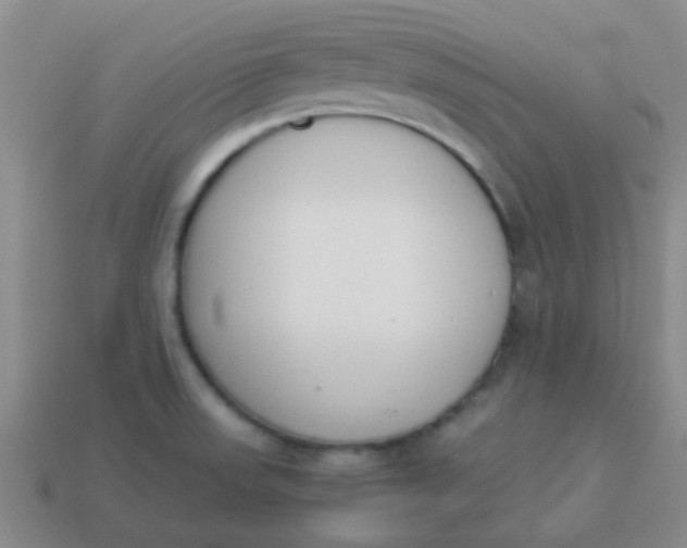 X0000113891523200910151323