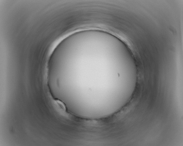 X0000113891524200910151323