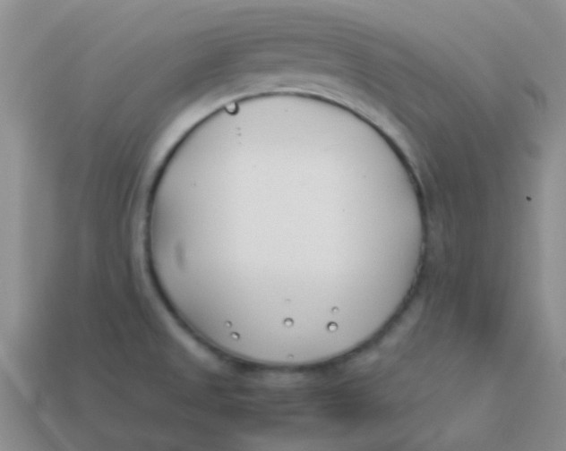 X0000113891525200910151323