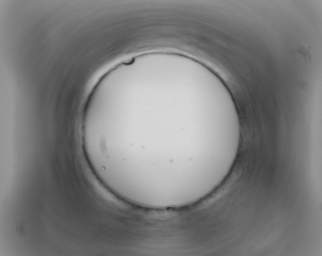 X0000113891526200910151324