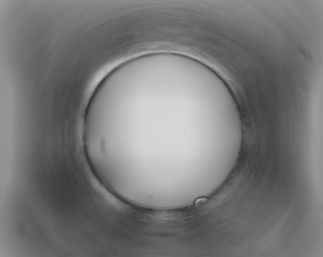 X0000113891527200910151324