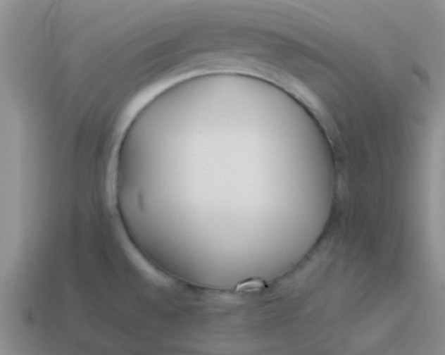 X0000113891528200910151324