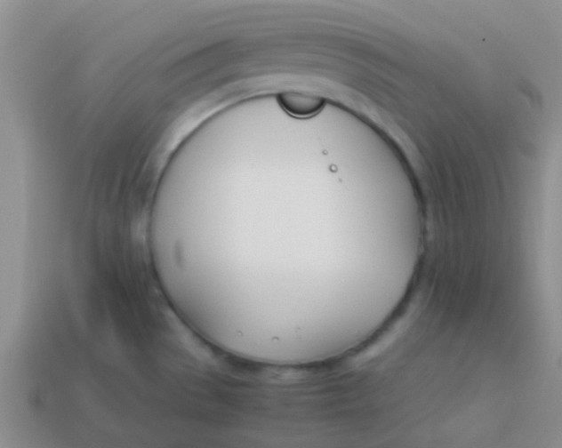 X0000113891529200910151324