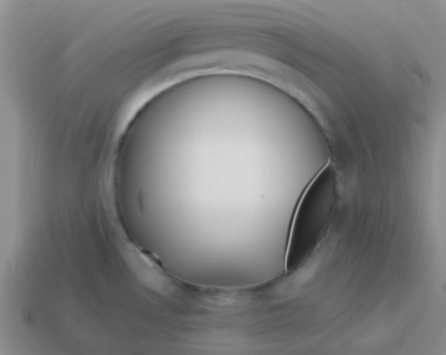 X0000113891530200910151324