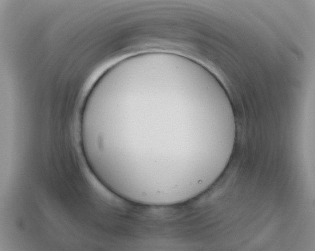 X0000113891531200910151324