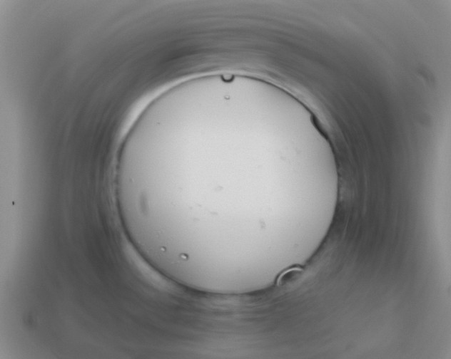 X0000113891532200910151324