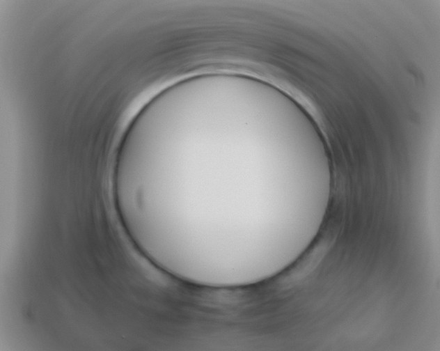 X0000113891533200910151324