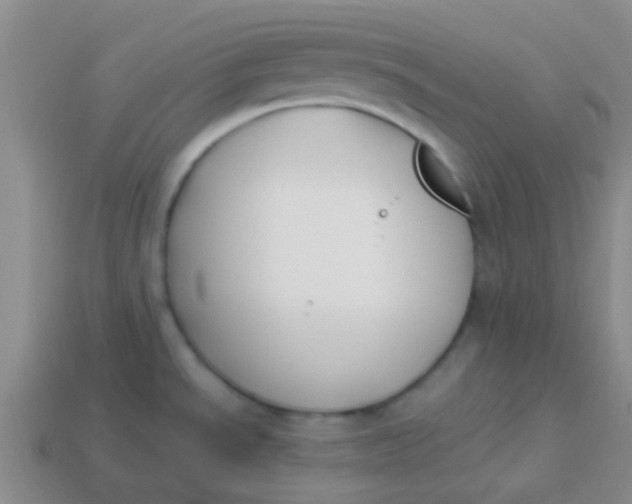 X0000113891534200910151324