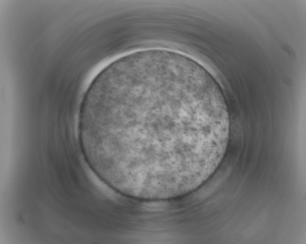 X0000113891535200910151324