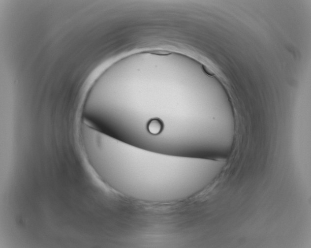 X0000113891536200910151324