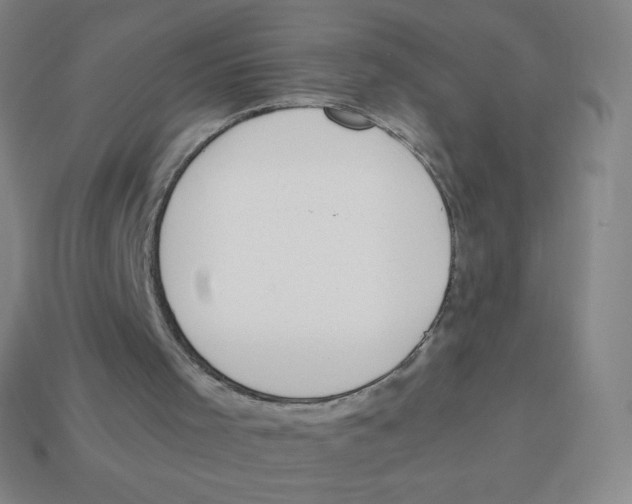 X0000113890001200910221427