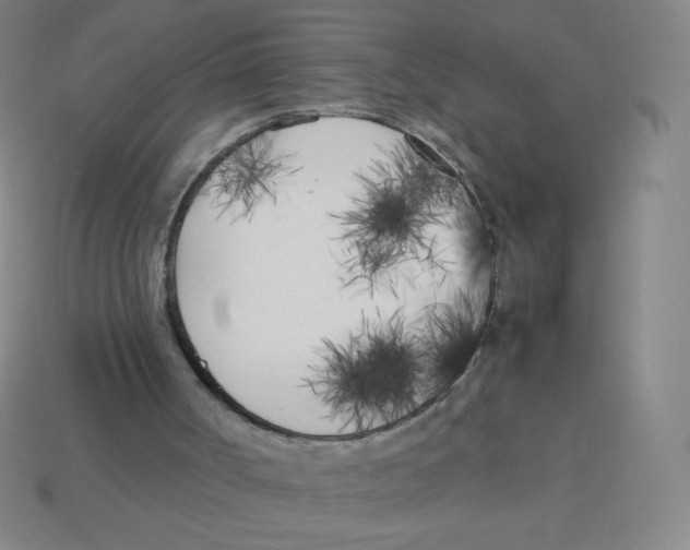 X0000113890002200910221427